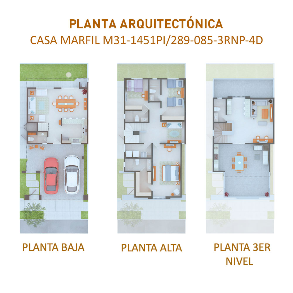 planta_-4d