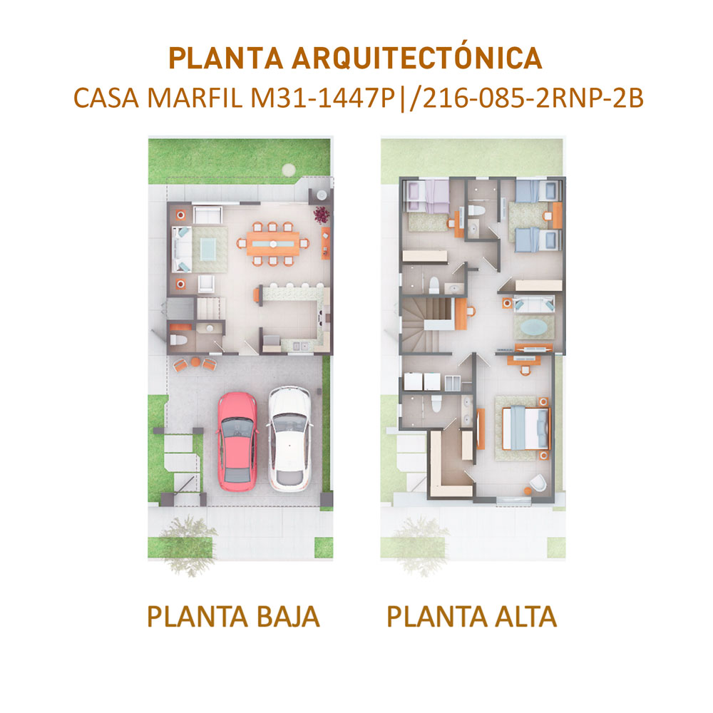 planta_2b