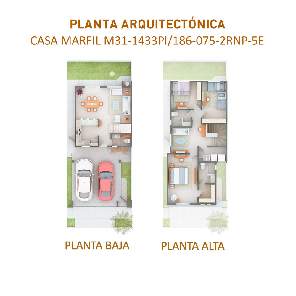 planta_5e-1