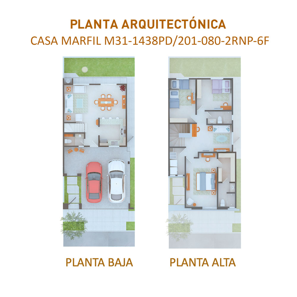 planta_6f